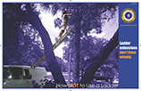Ladder Extension Poster Download 